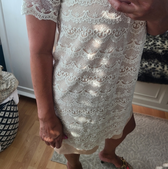 Opaque Clip dress - Picture 15 of 17